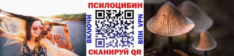 Псилоцибиновые грибы Psilocybe  Купить  Сертолово 